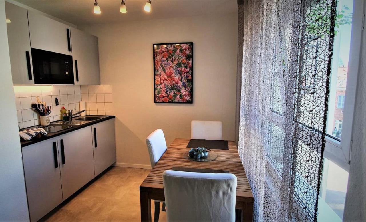 Deluxe Apartment Flamingo In Paradise 프라이부르크 임 브리스가우 외부 사진